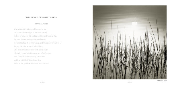A sepia photo of tall reeds in calm water beneath a hazy sun, reminiscent of Michael Kahn, from "Martha's Vineyard" by Schiffer Publishing, Ltd. Features the poem "The Peace of Wild Things" by Wendell Berry in soft gray text on white.