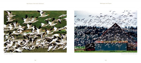 In the left image from Back Roads of the Pacific Northwest by Schiffer Publishing, Ltd., white birds fly over grass; in the right, a photographer captures birds above a rustic red-roofed barn with farm equipment outside.