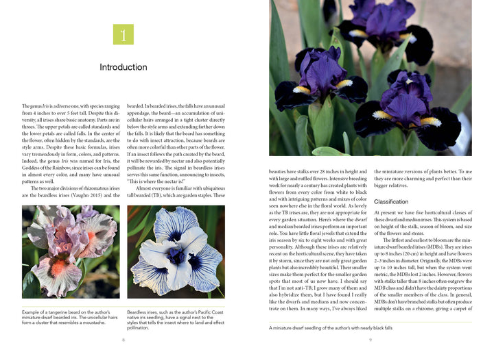 Discover Dwarf and Median Bearded Irises from Schiffer Publishing, Ltd.: one page features text and photos of these irises, while the other showcases a stunning dark purple iris for inspiring perennial gardens.