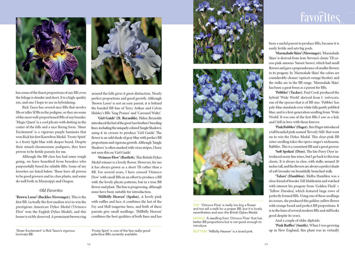 A close-up of "Dwarf and Median Bearded Irises" by Schiffer Publishing, Ltd., a magazine with perennial gardening tips and expert advice on growing iris varieties.