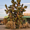 Lost Places by Schiffer Publishing, Ltd. features a vintage diner with a neon sign, an old car outside, and a large Joshua tree in a desert scene. The table of contents appears in red and blue text on the left.