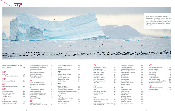 A large iceberg with blue streaks floats in Arctic waters as numerous birds glide above the sea; snowy terrain and distant polar mountains form the background. "The North" by Schiffer Publishing, Ltd., title and coordinates appear below the image.