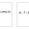 Two side-by-side boxes: the left highlights "Alphanumeric" in varied styles; the right, "ALTERNATE" in minimalist all-caps—Schiffer Publishing, Ltd.’s Words in Action is ideal for enriching your typographic dictionary or graphic design projects.