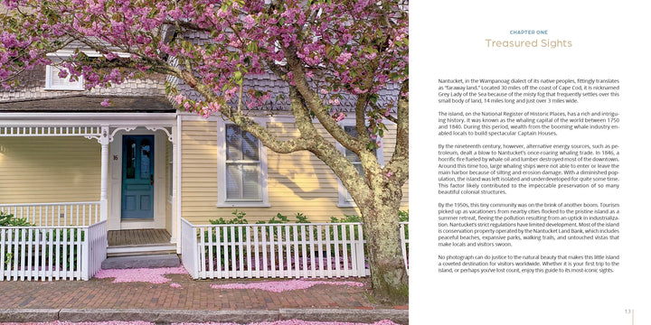 A blooming pink cherry blossom tree adorns a yellow house with white trim and a picket fence, creating an idyllic scene from Nantucket by Schiffer Publishing, Ltd., with petals scattered across the brick path and porch.