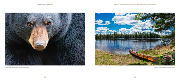 Left: Black bear close-up with a dark background. Right: Wooden canoe on a lake shore amid pines and blue sky—iconic Midwest scene from "Back Roads of the Midwest" by Schiffer Publishing, Ltd.
