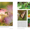 A close-up of "Cape Cod" by Schiffer Publishing, Ltd., featuring stunning nature photography that captures the beauty of Cape Cod ecosystems.