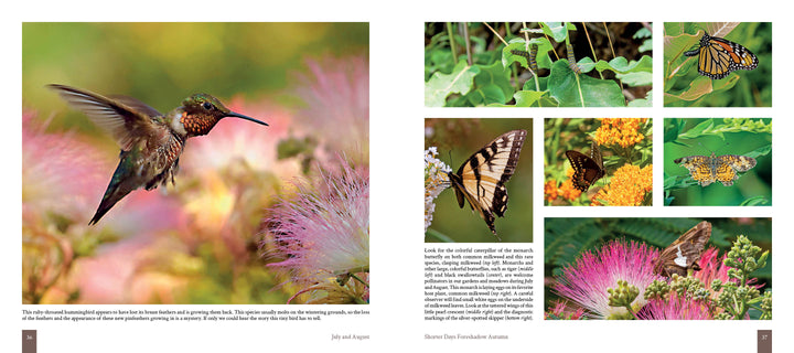 A close-up of "Cape Cod" by Schiffer Publishing, Ltd., featuring stunning nature photography that captures the beauty of Cape Cod ecosystems.
