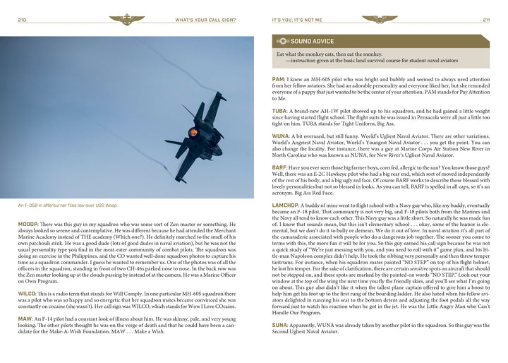 A fighter jet soars through clouds with exhaust trails, reminiscent of Top Gun, featured in Schiffer Publishing, Ltd.'s "What's Your Call Sign?" magazine page with text blocks and a green "Sound Advice" section on the right.