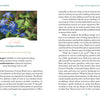 A book spread from "The Art of Flower Therapy" (Schiffer Publishing, Ltd.) shows text and a photo of centaury flowers, discussing centaury essence, Bach flower remedies, related challenges, and embracing one’s truths.
